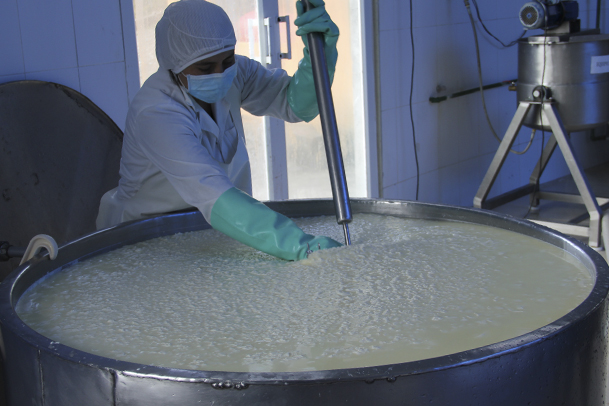 Tradición familiar en la elaboración de quesos